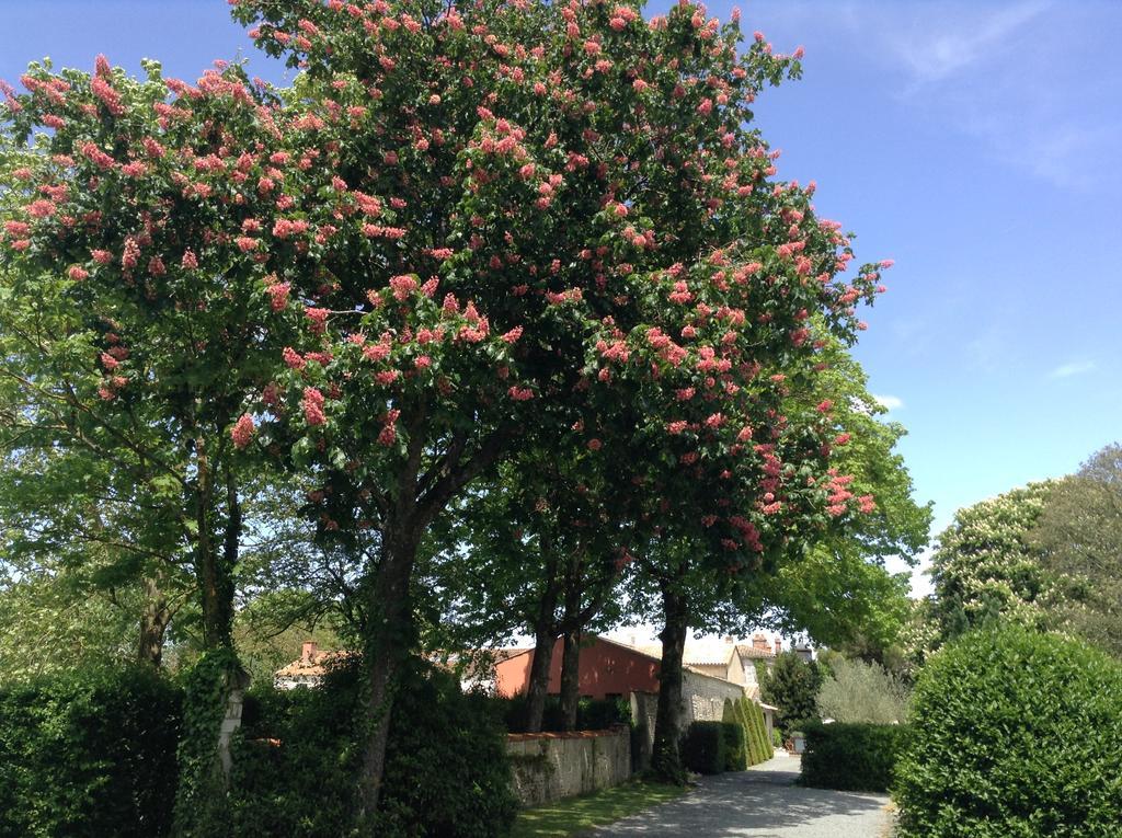 Bed and Breakfast La Grange D'Aunis Aigrefeuille-dʼAunis Esterno foto